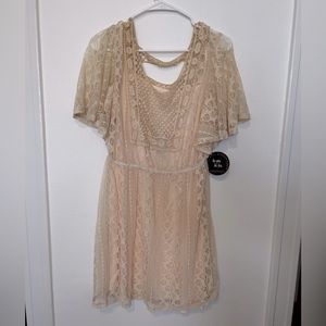 BeBop pale pink lace mini dress with flutter sleeves